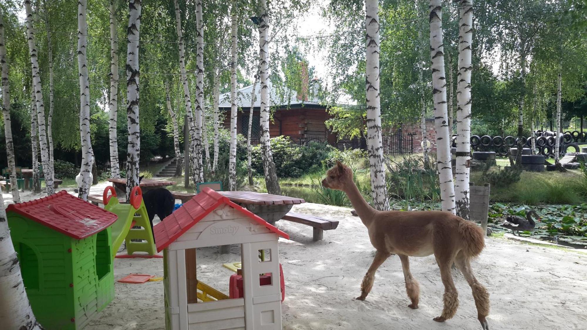 Hotel "Ksiezyc" W Swiebodzicach Świebodzice Esterno foto