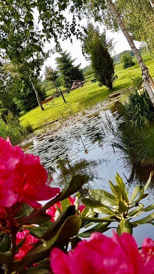 Hotel "Ksiezyc" W Swiebodzicach Świebodzice Esterno foto